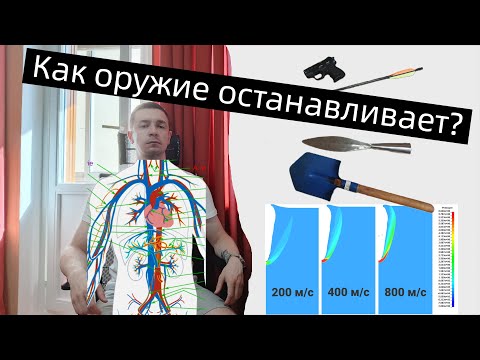 Видео: Останавливающее действие оружия простым языком, но с научной точки зрения