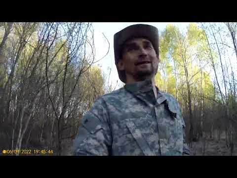 Видео: ГОЛУБИКА,ИНВИТРО ИЛИ ЧЕРЕНОК?