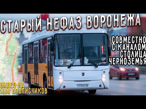 Видео: 366в (Ямное - Воронеж)