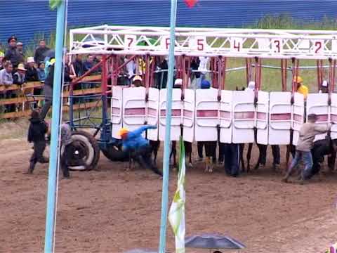 Видео: Скаковой сезон-2011. Скачки на приз Президента Республики Саха (Якутия)