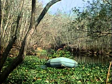 Видео: 52 - Одиссея Жака Кусто - Последние сирены
