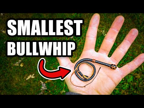 Видео: Самый маленький кнут, который я когда-либо делал
