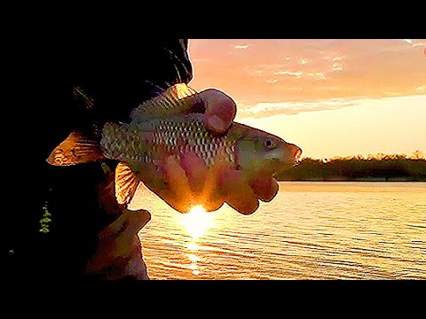 Видео: Рыбалка на восходе солнца. Ингулец.