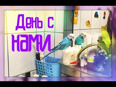 Видео: Уборка с моими хвостатыми!!! Мы целый день с вами!!!