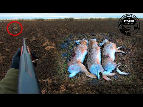 Видео: Охота на зайца. Сезон 2021-2022. РЕКОРД по ПРОМАХАМ. Охота по чернотропу.  Шестой выход.