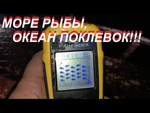 Видео: Лагуна   море рыбы, океан поклевок!