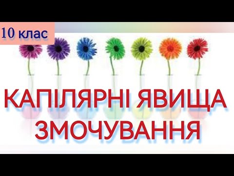 Видео: 6/7 ✨ ЗАДАЧІ: КАПІЛЯРНІ ЯВИЩА. ЗМОЧУВАННЯ | Фізика: Задачі Легко