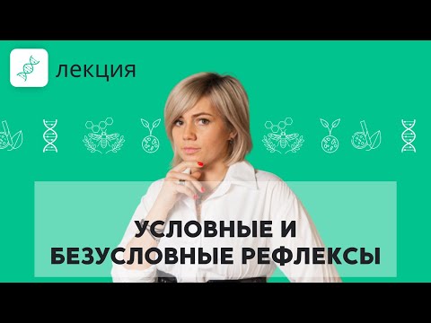 Видео: Условные и безусловные