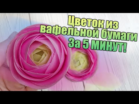 Видео: Декор для ТОРТА за 5 минут! Цветок Ранункулюс