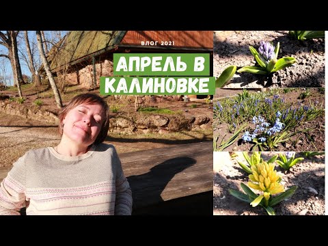 Видео: АПРЕЛЬ в КАЛИНОВКЕ / Влог 2021