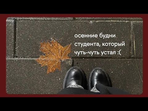 Видео: осенние будни студента, который чуть-чуть устал