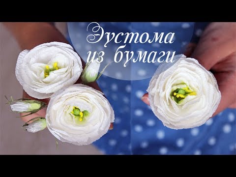 Видео: Эустома или лизиантус из гофрированной бумаги
