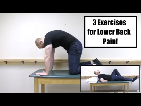 Видео: Макгилл Большой 3 - Нижняя Назад Боль Упражнения