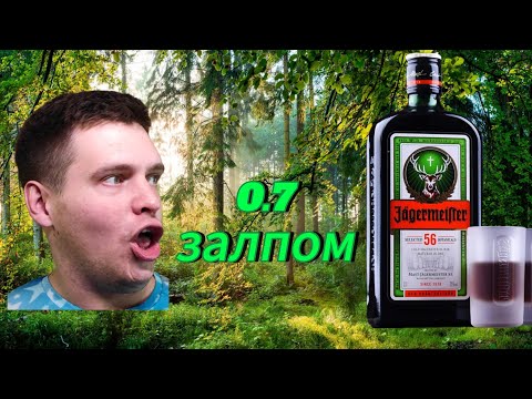 Видео: 0.7 JÄGERMEISTER ЗАЛПОМ | ПОСЛЕДСТВИЯ