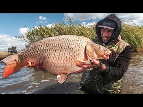 Видео: КЛЮЮТ ОДНИ ПАРОВОЗЫ! Ловля ТРОФЕЙНОГО КАРПА и САЗАНА осенью! Секретный корм на карпа!