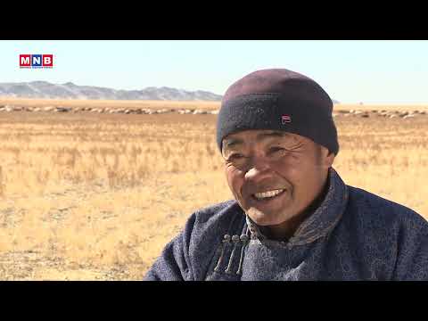 Видео: Эргэх дөрвөн цаг /2025.11.02/