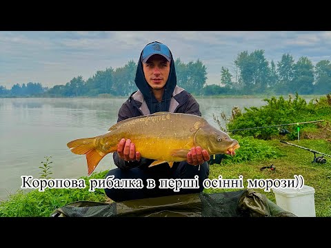 Видео: Все замерзло!! Ловимо коропа в перші осінні морози!!!