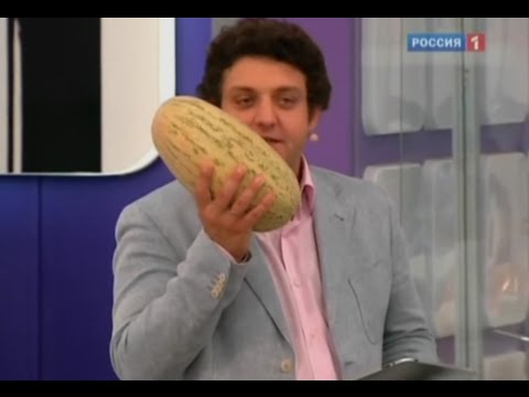 Видео: Дыня польза и вред. Как правильно выбрать и покупать дыню?