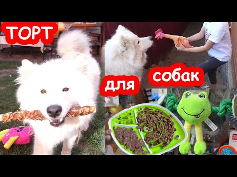 Видео: VLOG День Рождения Умки и Луны. 3 годика