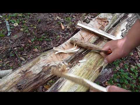 Видео: Лес . Грибы.Тест ножа RUIKE .