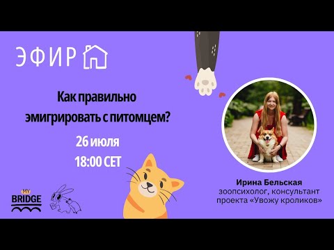 Видео: Как правильно эмигрировать с питомцем? Эфир с зоопсихологом Ириной Бельской 26 июля 2024