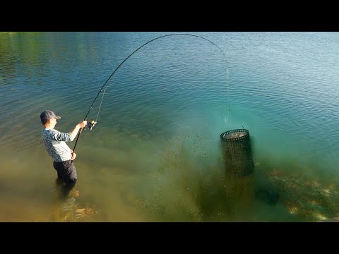 Видео: Рыбы в ШОКЕ и рыбаки тоже... ПРИКОРМКА В КОРМУШКАХ под водой! ТЕСТ на точность!
