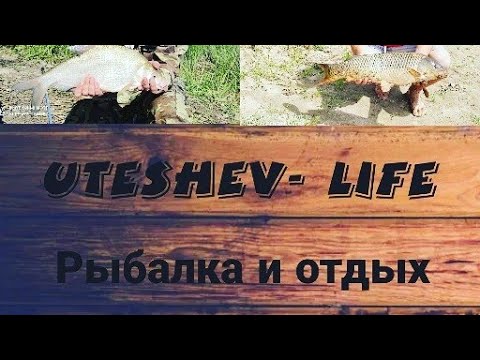 Видео: Рыбалка,выехал на природу в одиночку,половил рыбку и подружился с пёсилем