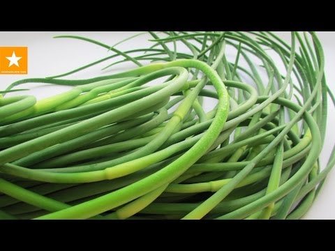 Видео: Чесночные стрелки в сметане - рецепт от Мармеладной Лисицы