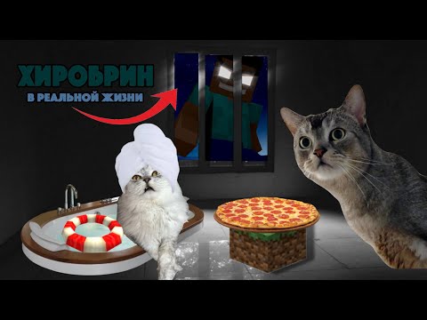 Видео: КОШАЧЬЯ ИСТОРИЯ УЖАСОВ | ХИРОБРИН В РЕАЛЬНОЙ ЖИЗНИ