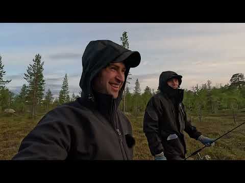 Видео: УШЛИ В ТАЙГУ , ЩУЧЬЕ ЛОГОВО. БОЛЬШЕ 30 ОКУНЕЙ НА СПИННИГ. 