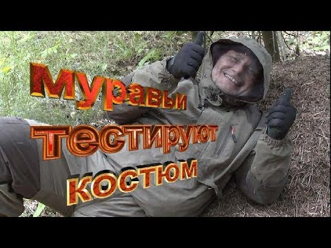 Видео: ПРОТИВОЭНЦЕФАЛИТНЫЙ КОСТЮМ И МУРАВЬИ