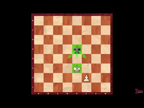 Видео: Пешечный эндшпиль. Урок 2. Оппозиция