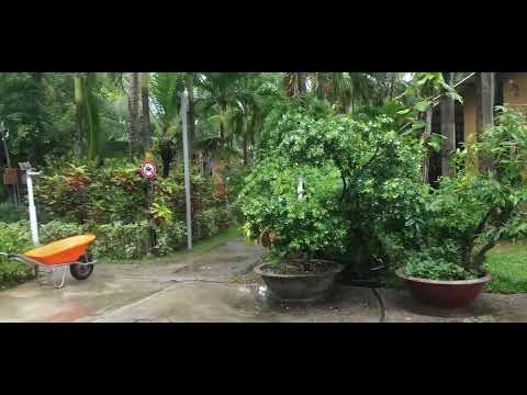 Видео: Фукуок/Phu Quoc Вьетнам,Sea Star Resort Phu Quoc 2024