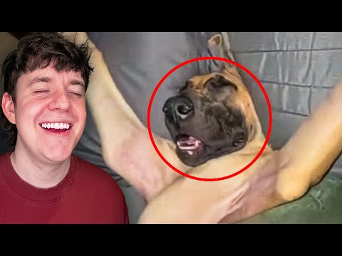 Видео: Необычные мемы — это УДИВИТЕЛЬНО