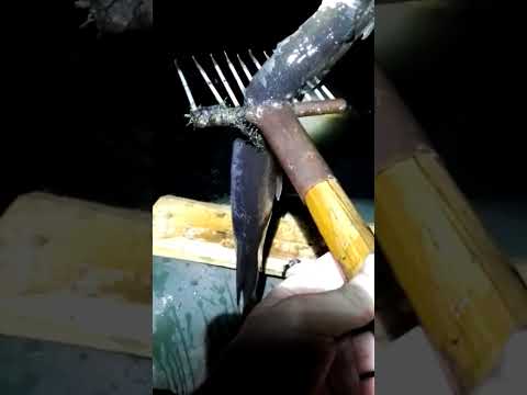 Видео: Рыбалка на острогу🐟!