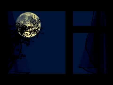 Видео: Человек за окном...