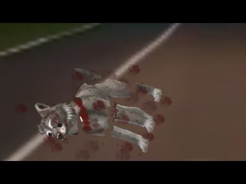 Видео: Страшилка WildCraft "Ошмётки на трассе"