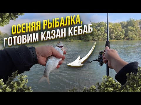 Видео: ТАКУЮ РЫБАЛКУ НЕ ЗАБУДЕШЬ! ОСЕНЬ, КУБАНЬ И МЯСО В КАЗАНЕ!