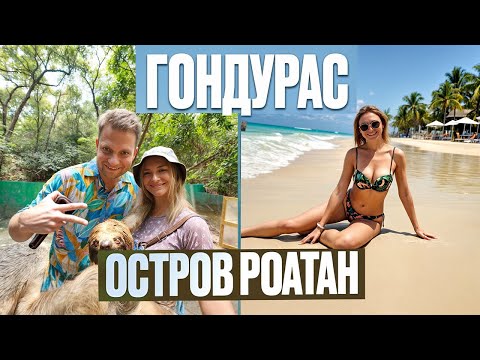 Видео: Гондурас. Чем заняться на острове Роатан? Обнимаемся с ленивцами и лемурами.