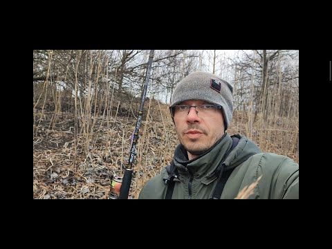 Видео: Обзор спінінга Crazy Fish Arion 2.8м 3-14г. Плюси та мінуси спінінга. Весна 2024