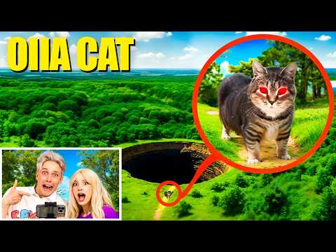 Видео: мой дрон снял НАСТОЯЩЕГО OIIAOIIA CAT в Реальной Жизни!