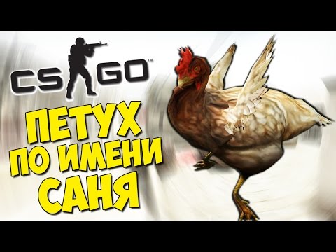 Видео: ПЕТУХ ПО ИМЕНИ САНЯ - CS:GO Маньяк