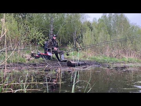 Видео: Вот это лапти! Чуть не утащили удочку в реку.. Фидерная рыбалка на реке. #рыбалка #2025 #фидер #река