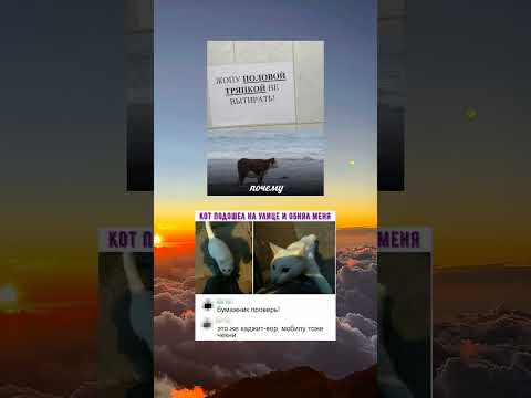 Видео: #шуточное #memes #мем #мемас