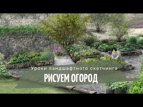 Видео: КАК РИСОВАТЬ РАСТЕНИЯ? РИСУНОК В PROCREATE/ РИСУНОК НА ПЛАНШЕТЕ/ ландшафтный скетчинг