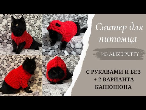 Видео: Свитер для собаки / кота из Alize Puffy, с рукавами и без + 2 варианта капюшона