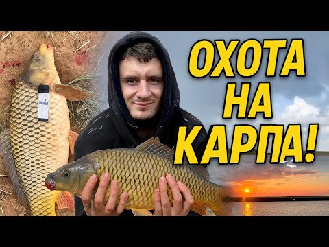 Видео: Собрался домой… и тут клюнул ОН! 🐟🔥 Рыбалка на плотине "Белый дом"