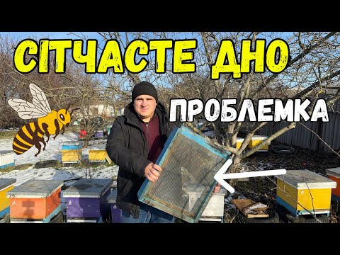 Видео: Сітчасте Дно Вулика - Проблемка 🐝