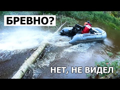 Видео: Через БРЕВНО на ПВХ лодке?! Тест болотоходных моторов! Экспедиция в дикие места на Селигер