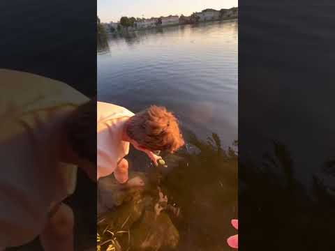 Видео: Гуляем возле дома 🏡 